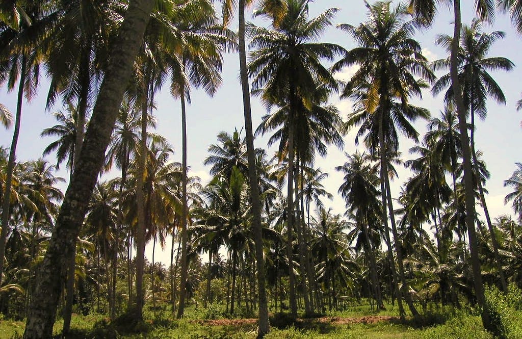 September in Sri Lanka
